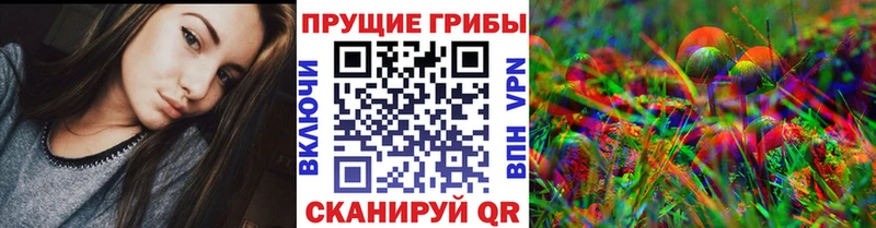 Галлюциногенные грибы GOLDEN TEACHER  где купить   Волгоград 