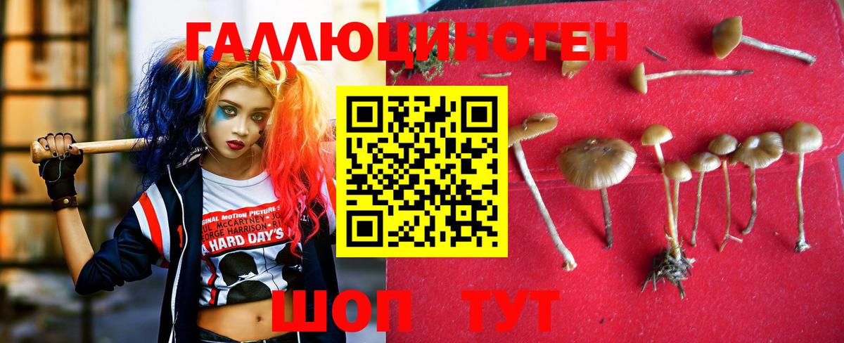 Волгоград  Псилоцибиновые грибы мухоморы  Вход с VPN 