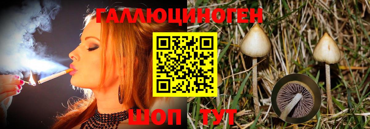 Псилоцибиновые грибы мухоморы  Волгоград  Галлюциногенные грибы MAGIC MUSHROOMS 