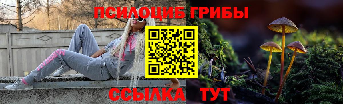 Псилоцибиновые грибы Magic Shrooms Волгоград